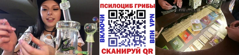 Псилоцибиновые грибы Psilocybe  Тутаев 